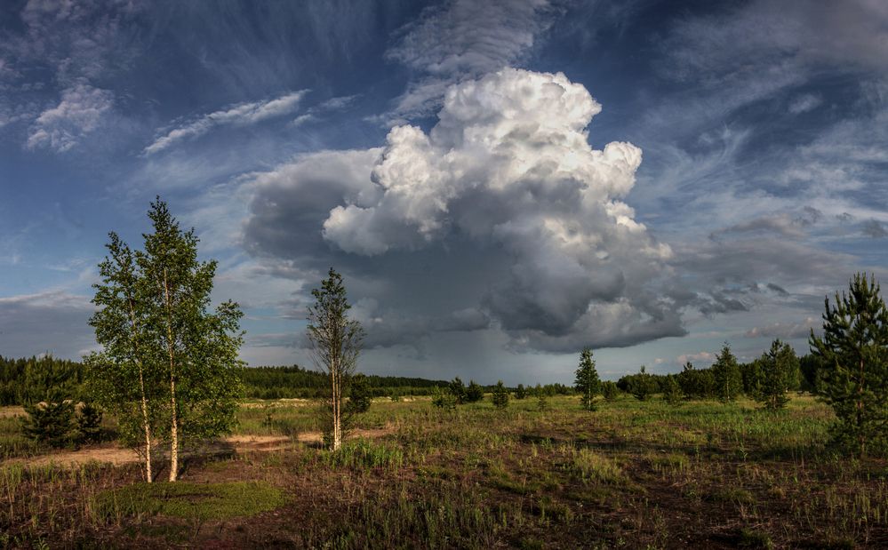 Photograph by Татьяна Борисова