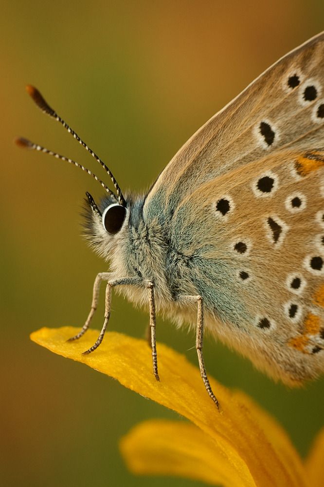 Фотография автора Марина