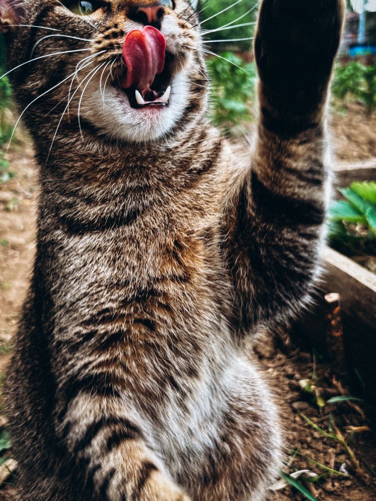 Photograph by Марина Харитонова