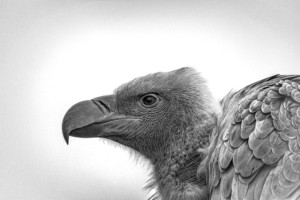 Photograph by Keegan Boland
