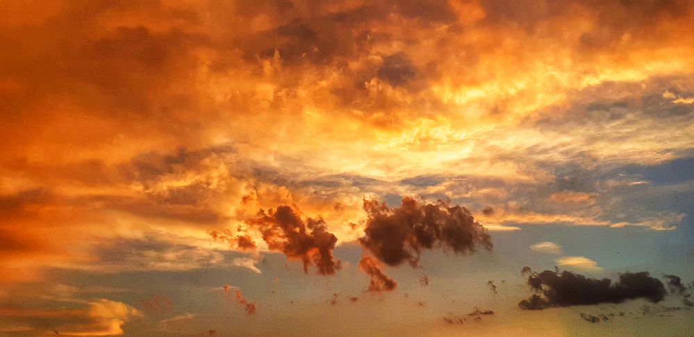 Photograph by Reyhane Ajorloo