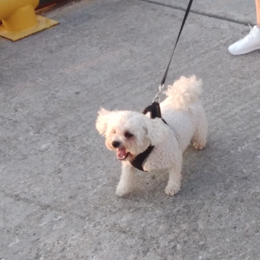 Photograph by Васильева Львовна