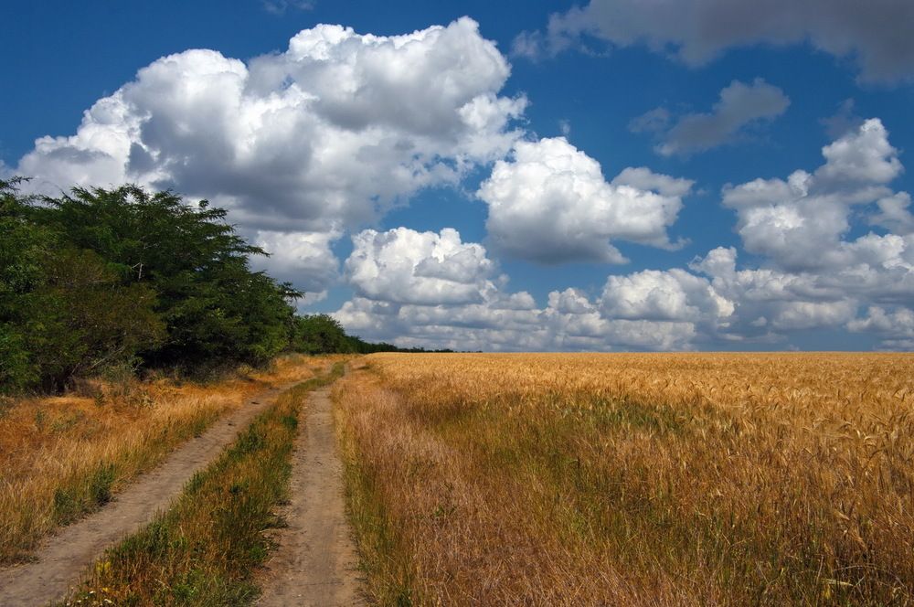 Photograph by Анатолий Святой