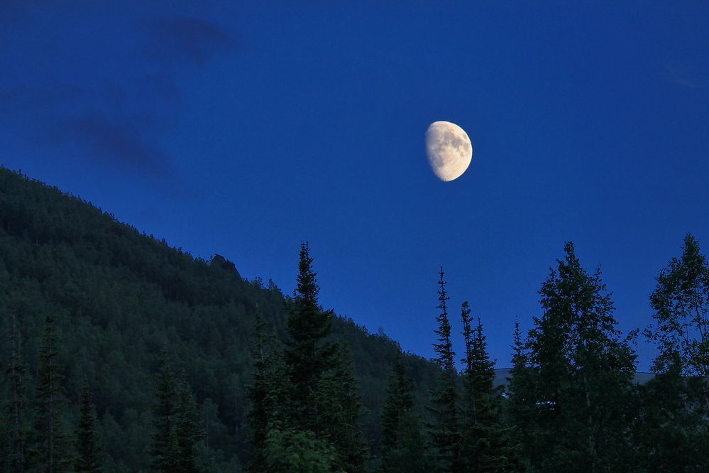 Фотография автора Юдинских Марина
