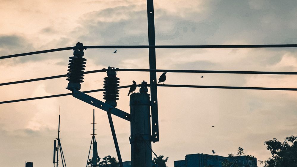 Photograph by LIMON DEY