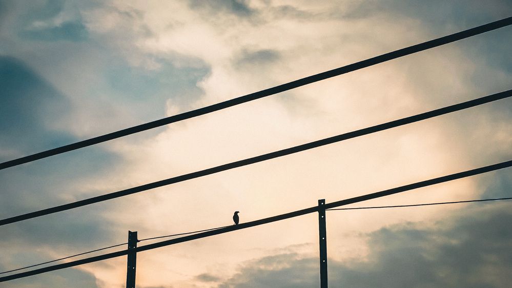 Photograph by LIMON DEY