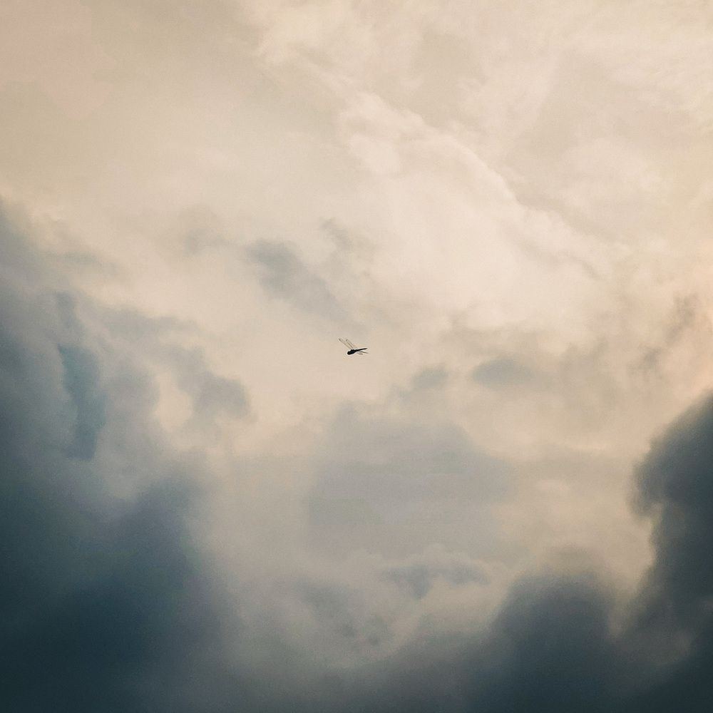 Photograph by LIMON DEY