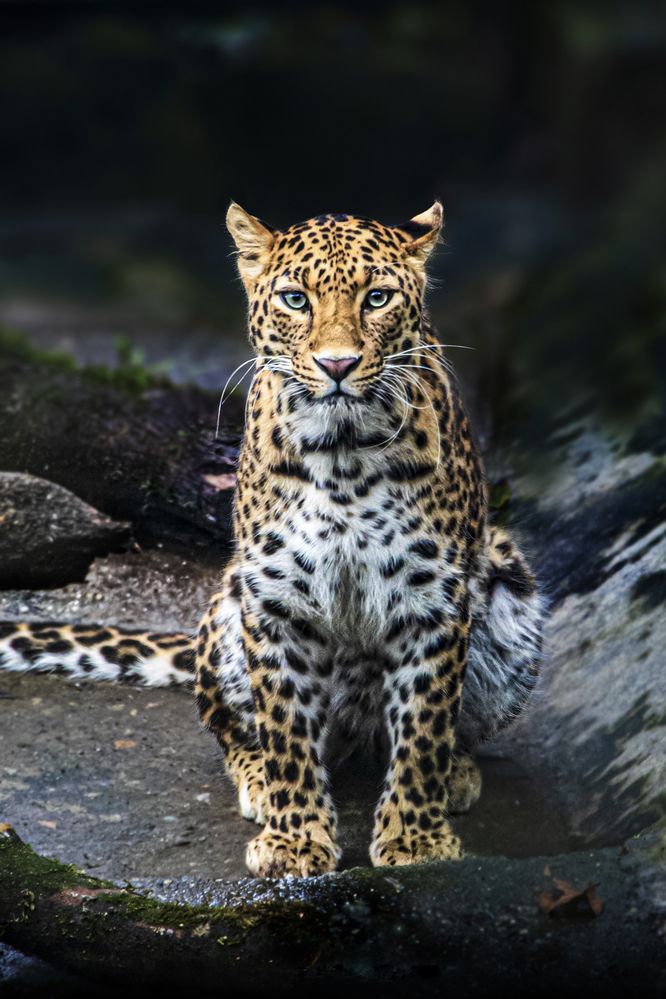 Photograph by RUPAM DAS