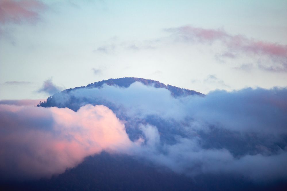 Photograph by Ангелина