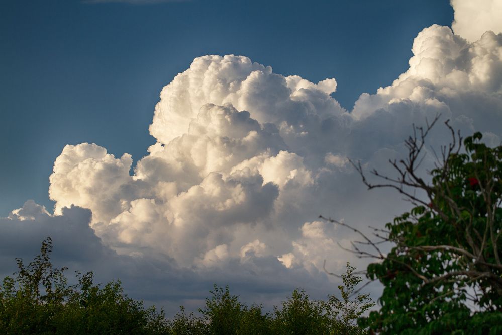 Photograph by ЕЛЕНА Рохо-Фернандес