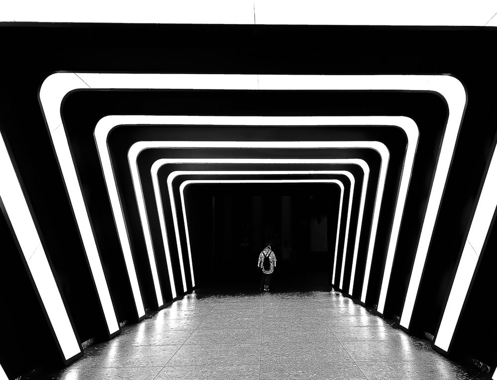 Photograph by Hamidreza zakeri