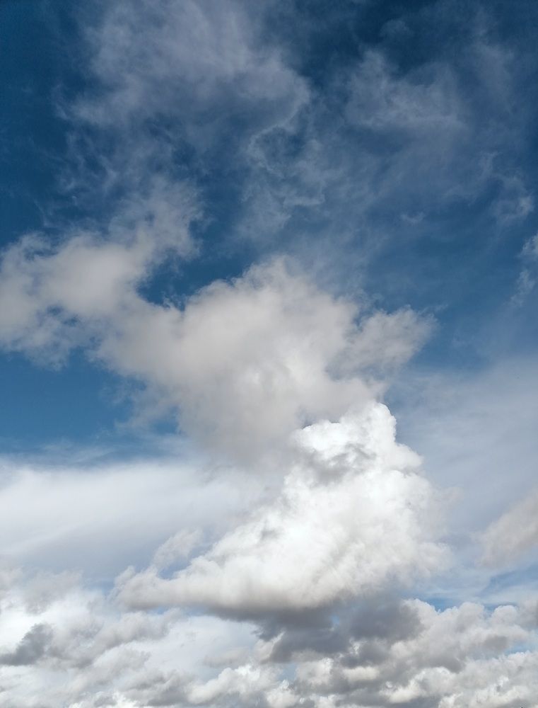 Фотография автора Анатолий Борисенко