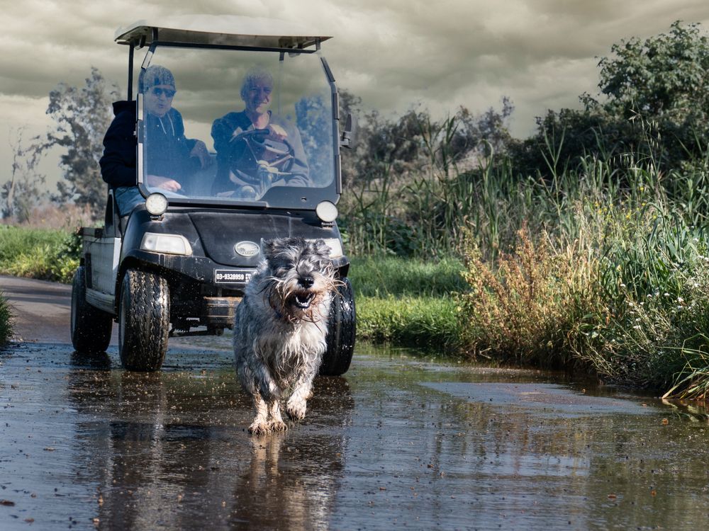 Photograph by Lev Tsenter