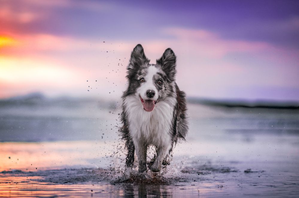 Photograph by Kira Demina