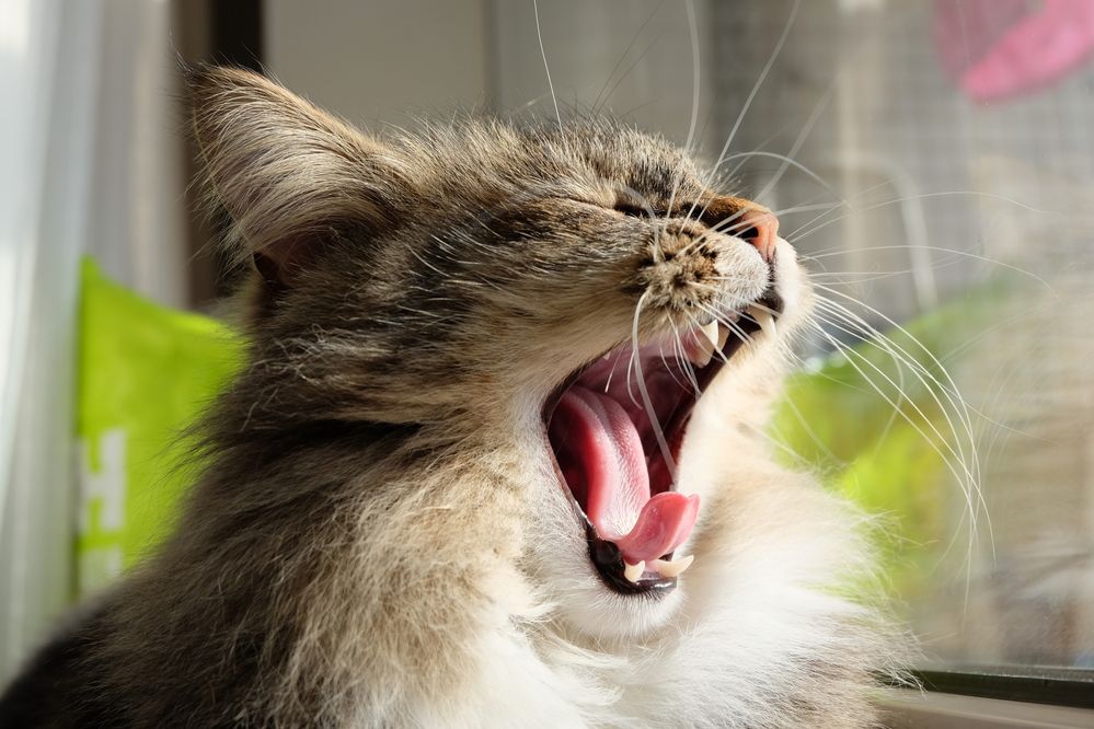 Photograph by Вадим Зрюев