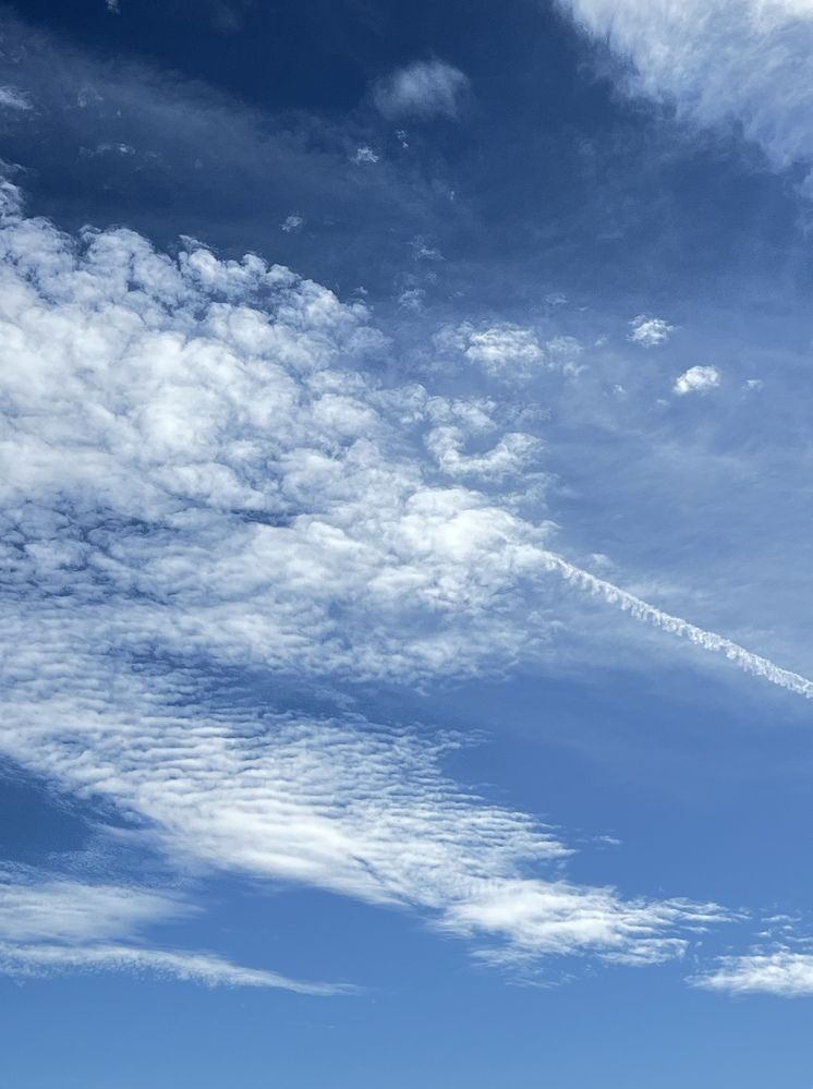 Photograph by Eugenia Schmidt