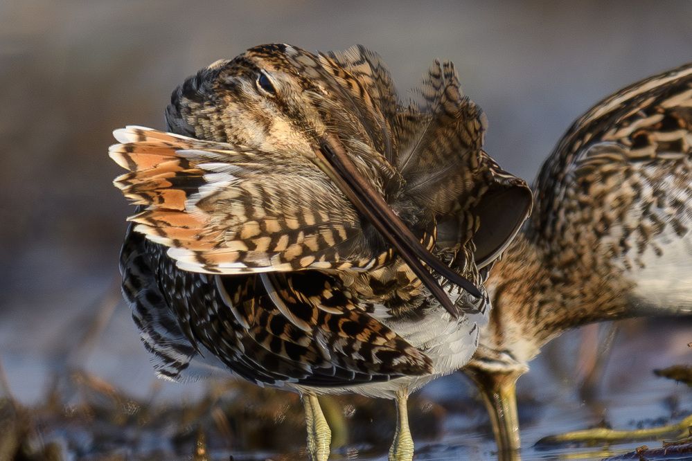 Photograph by Вячеслав Ладанов