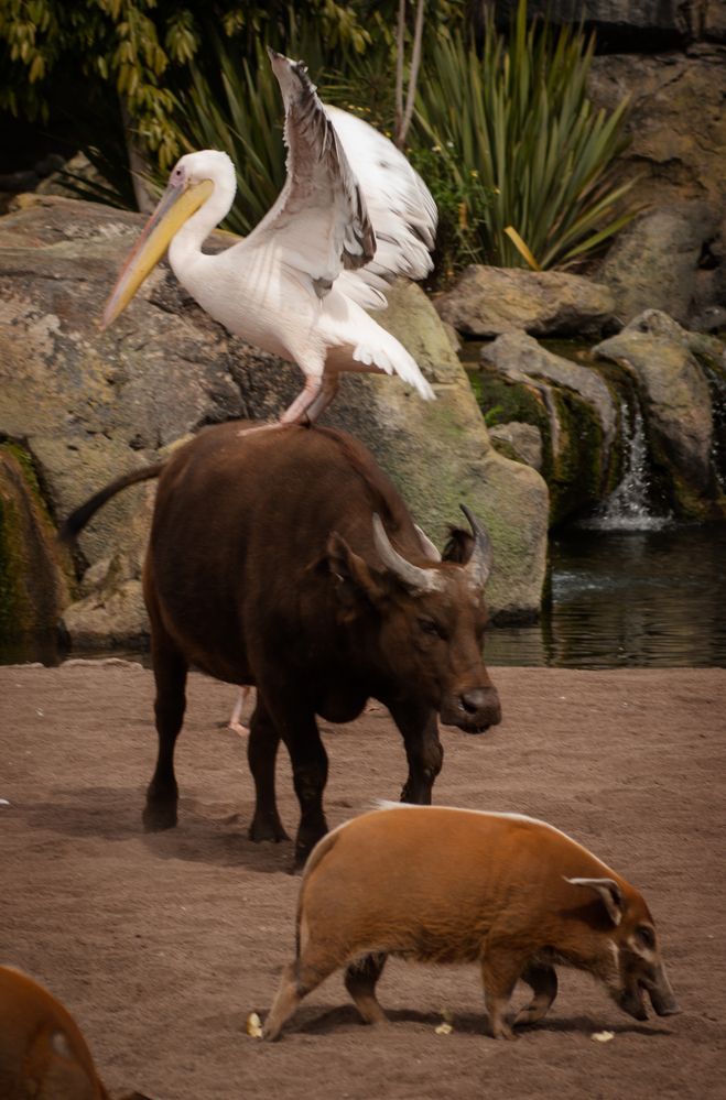 Photograph by Дария Максимова