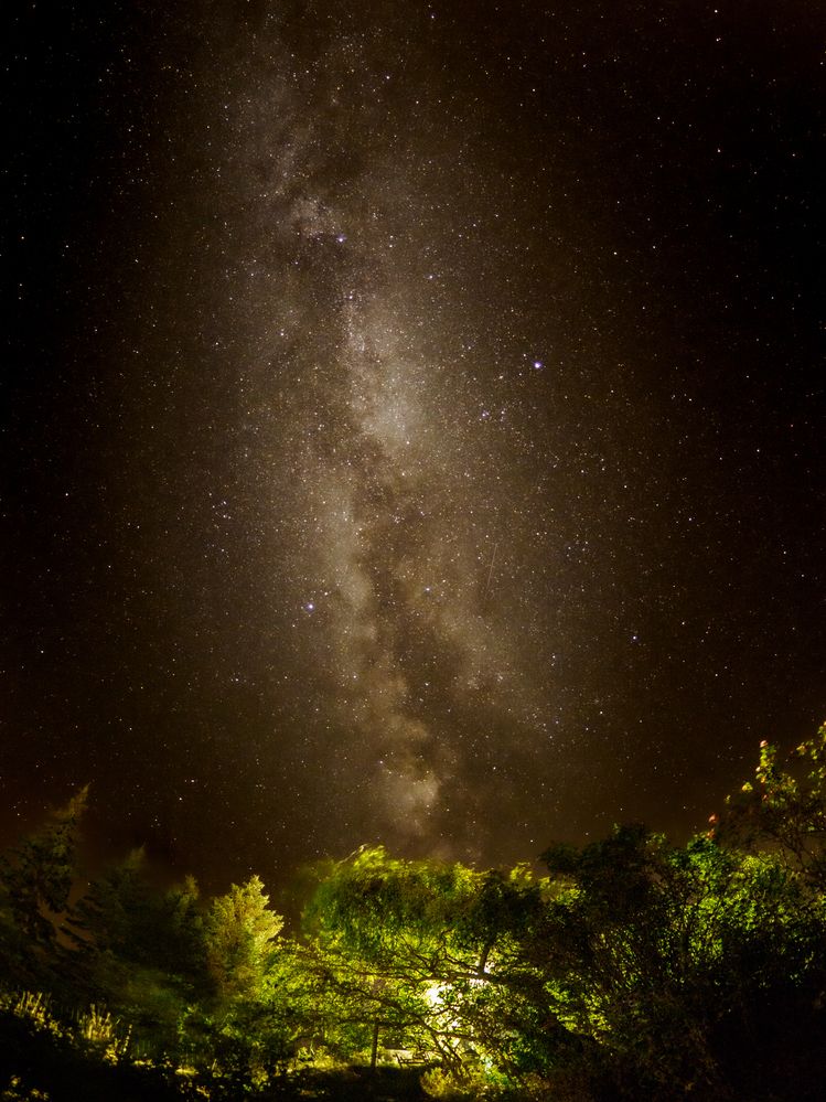 Photograph by Fanny HARDY
