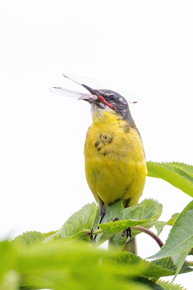 Photograph by Бурыкин Илья