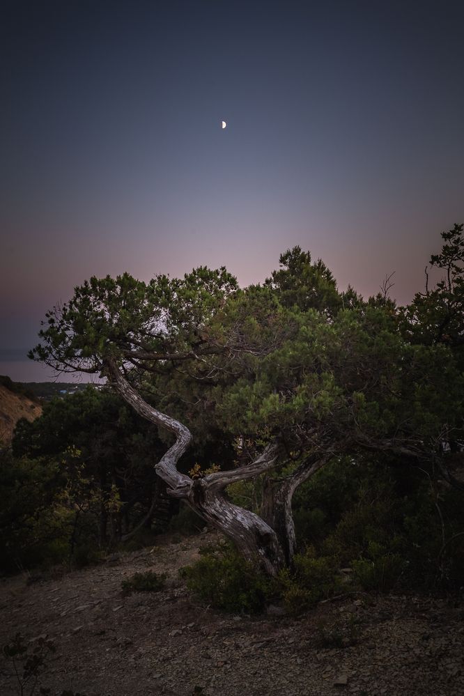 Photograph by Филипп Бабенко