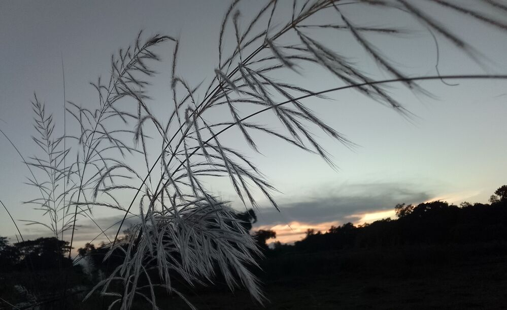 Photograph by Sourav Dev