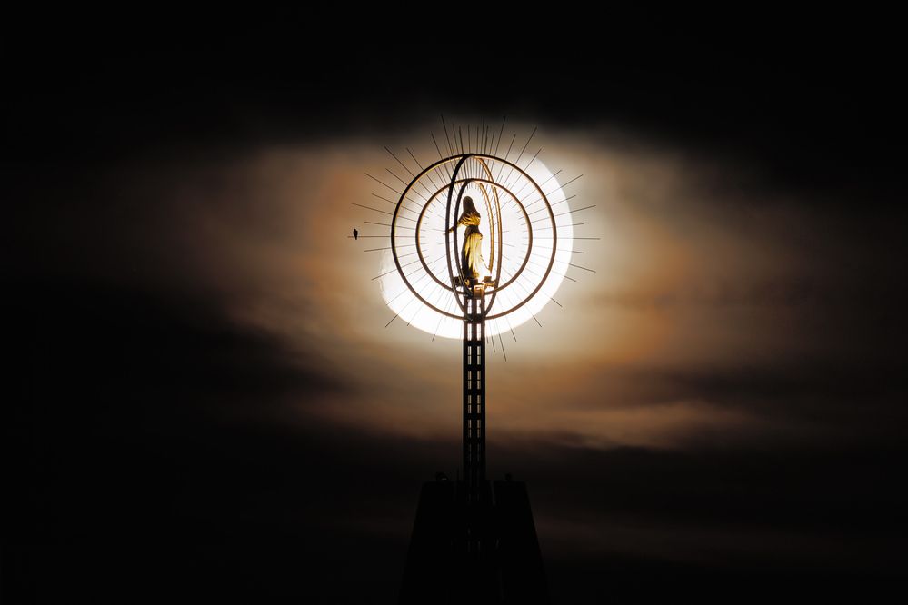 Photograph by Fabio Cartelli