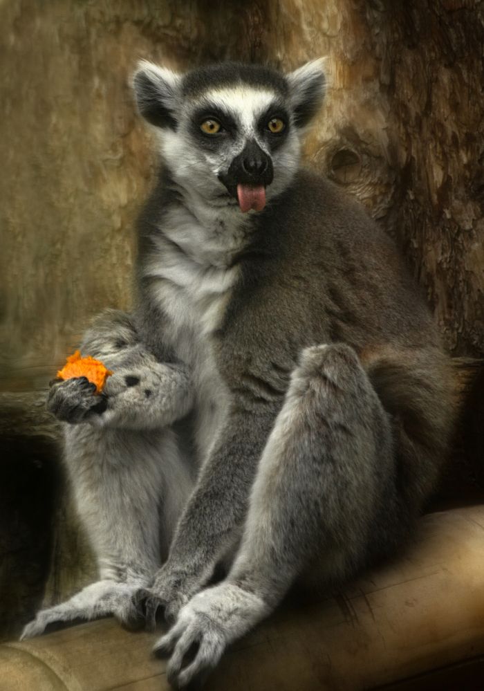 Photograph by Светлана Алексеева