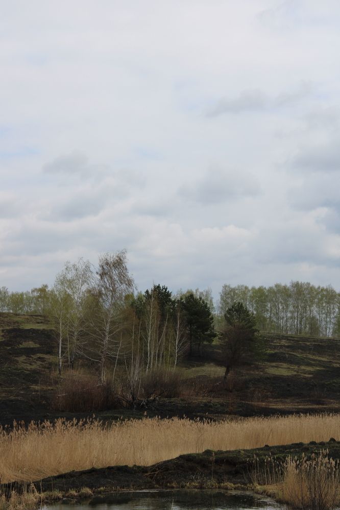 Photograph by Елена Коробченко