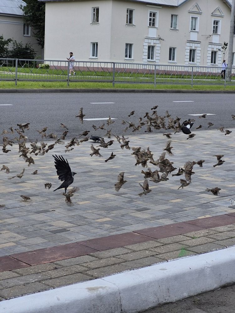 Photograph by Виктория Байкова