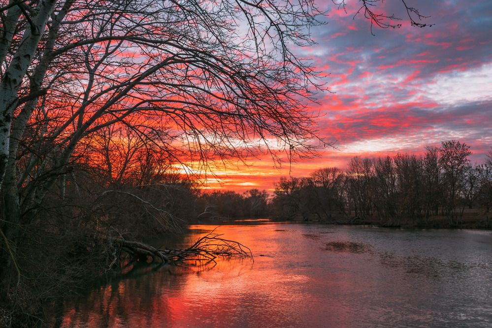 Photograph by Шишкалов Константин