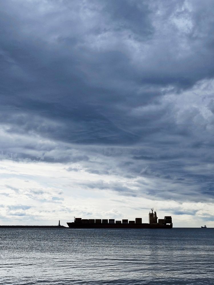 Фотография автора JELENA VASIC