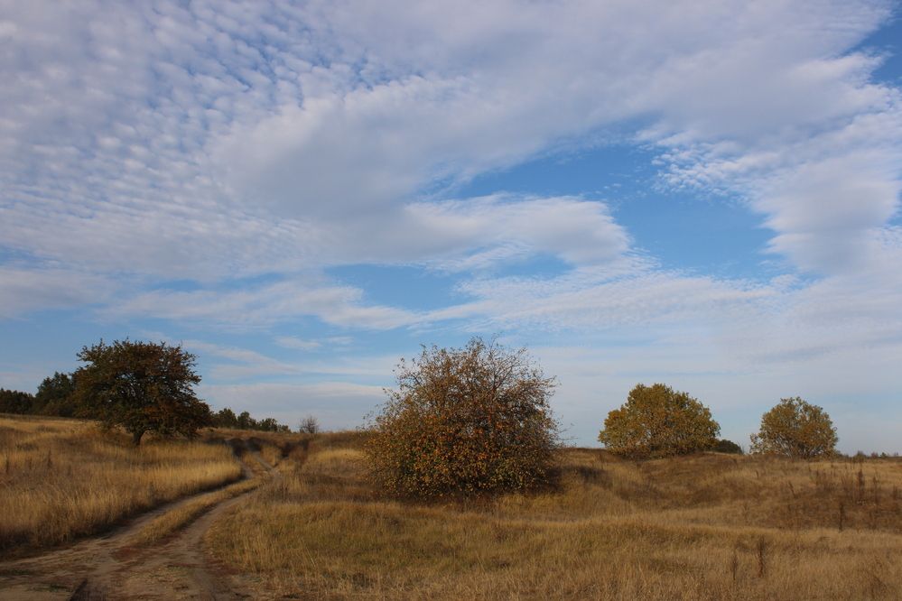 Photograph by Елена Коробченко