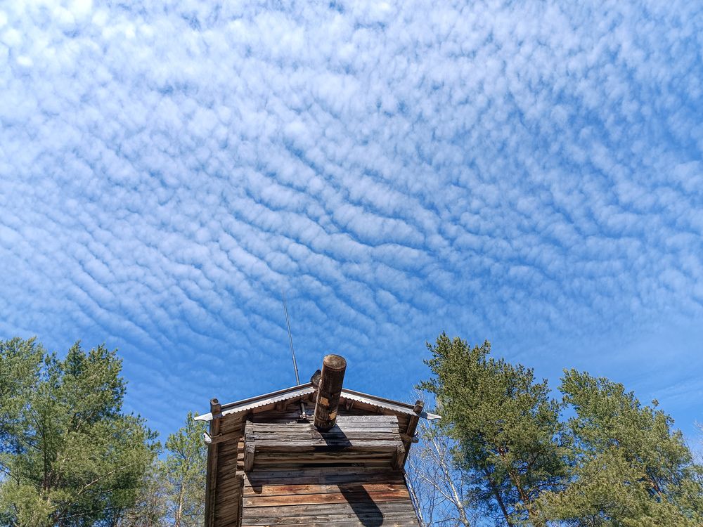 Photo #12530378