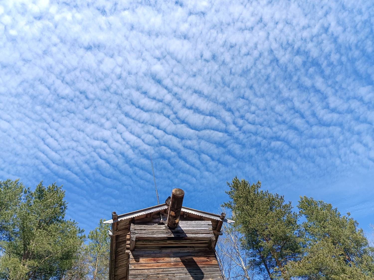 Photo #12530378