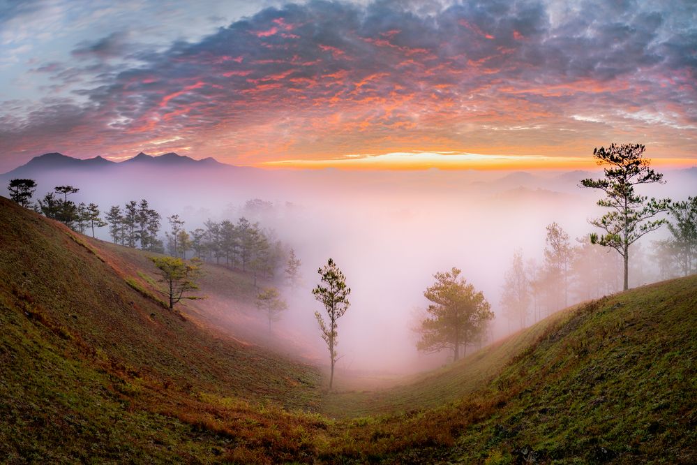 Photograph by Nghi Le Huu