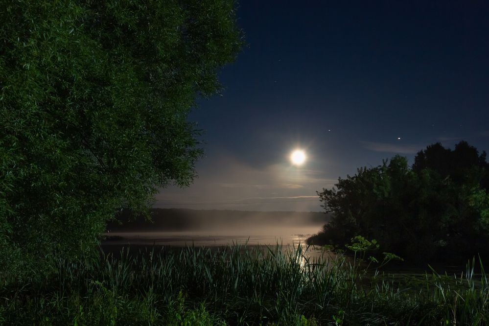 Photograph by Лев Живулин