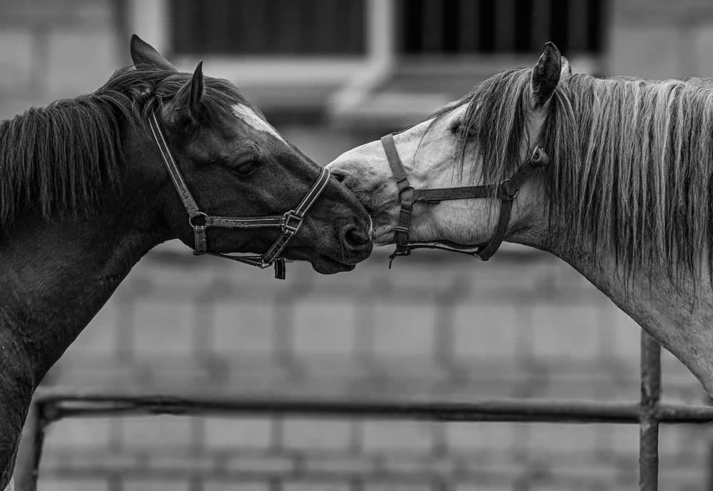 Фотография автора Михаил Измайлов