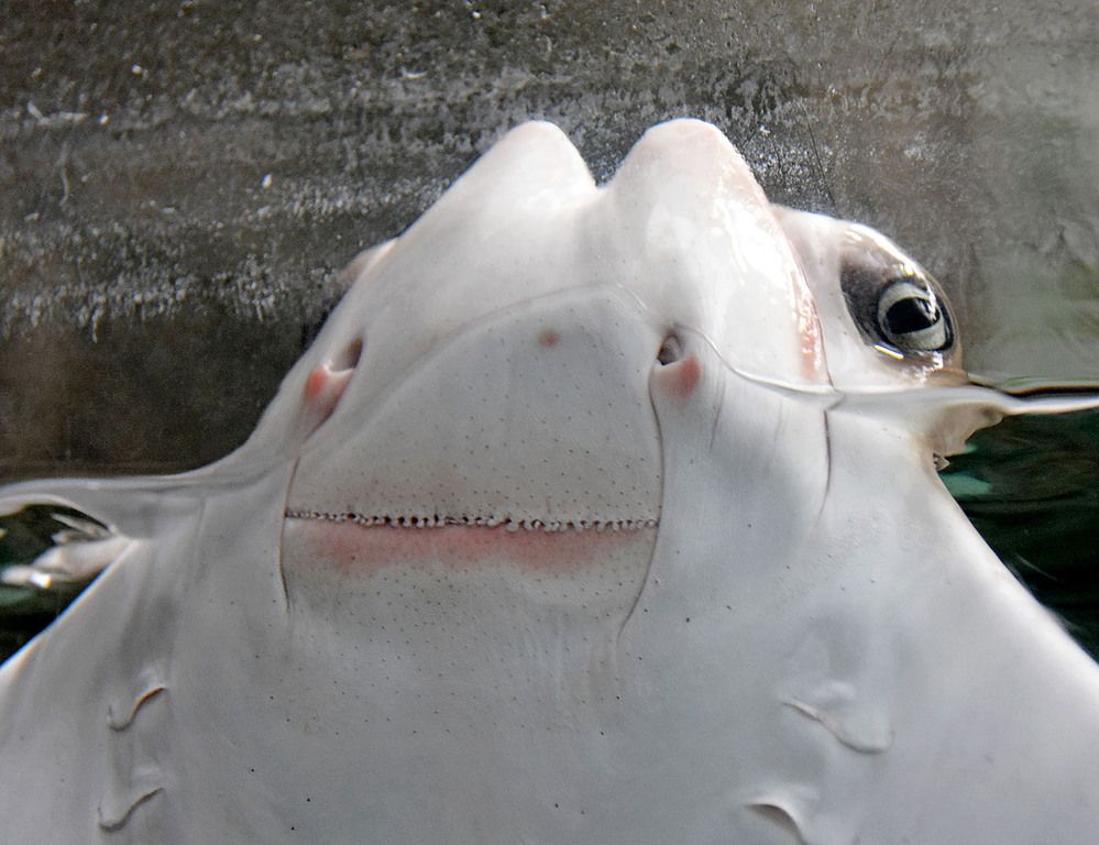 Photograph by Marjo Steffen