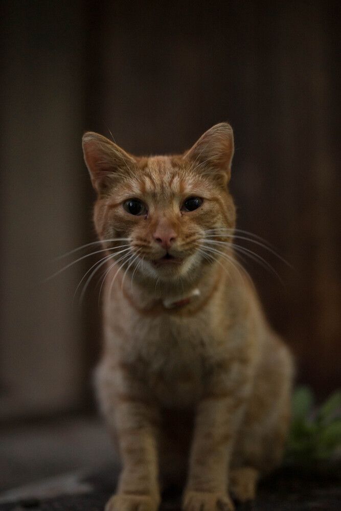 Photograph by Светлана Гаврикова