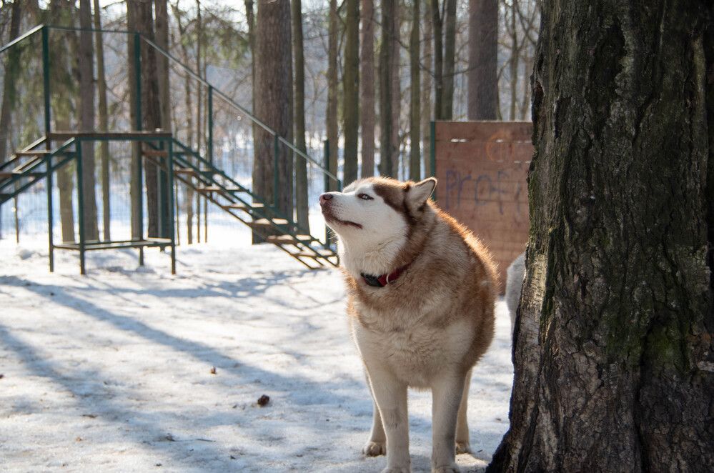Photograph by Светлана Гаврикова