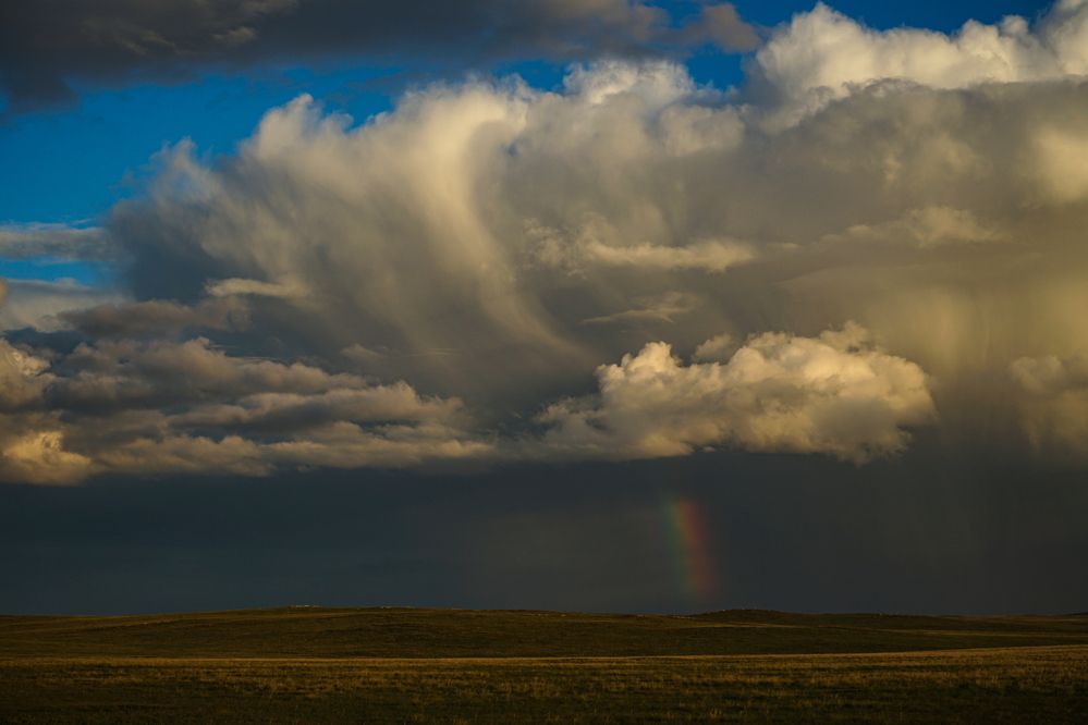 Photograph by Enkhjargal Sugarjav