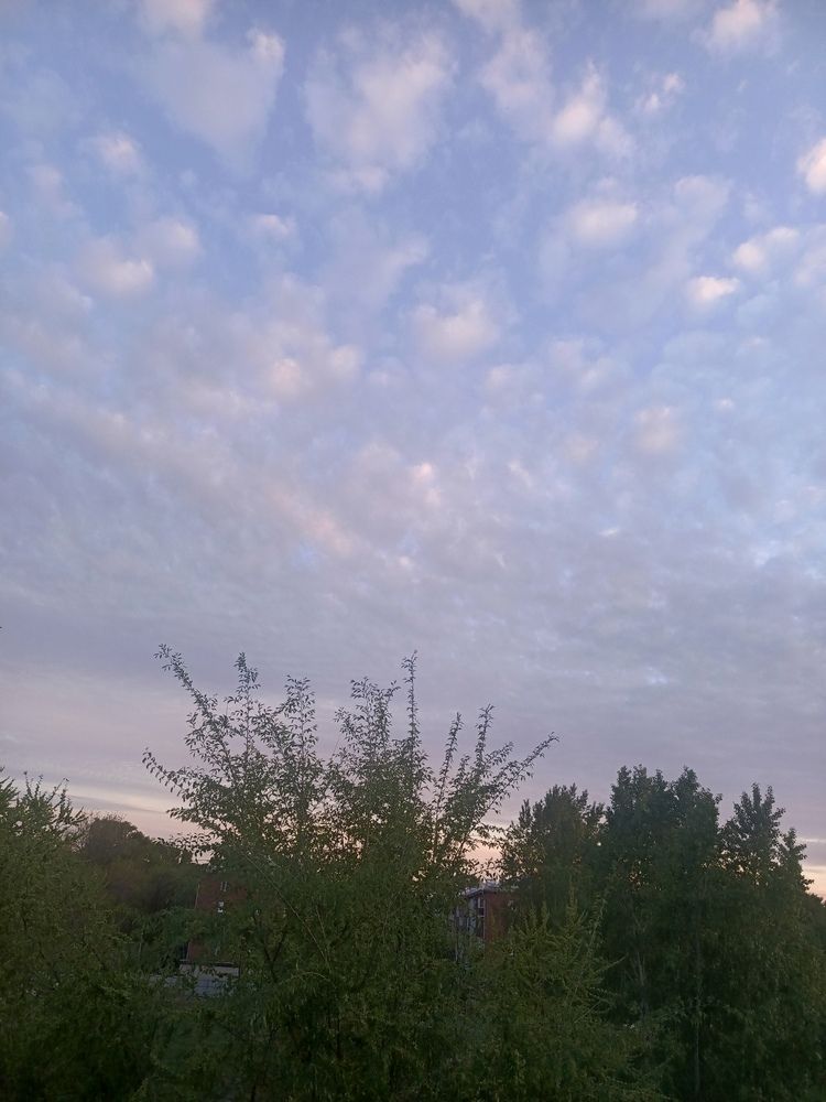 Фотография автора Ольга Петрова