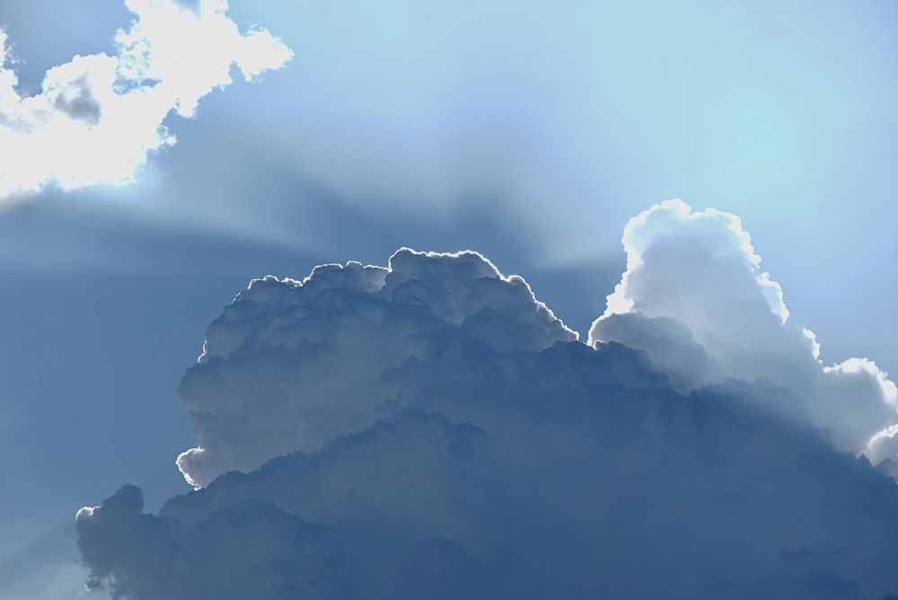 Photograph by Светлана