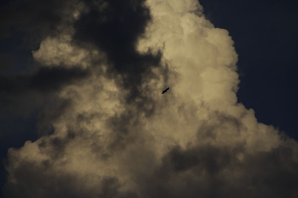 Photograph by Варвара