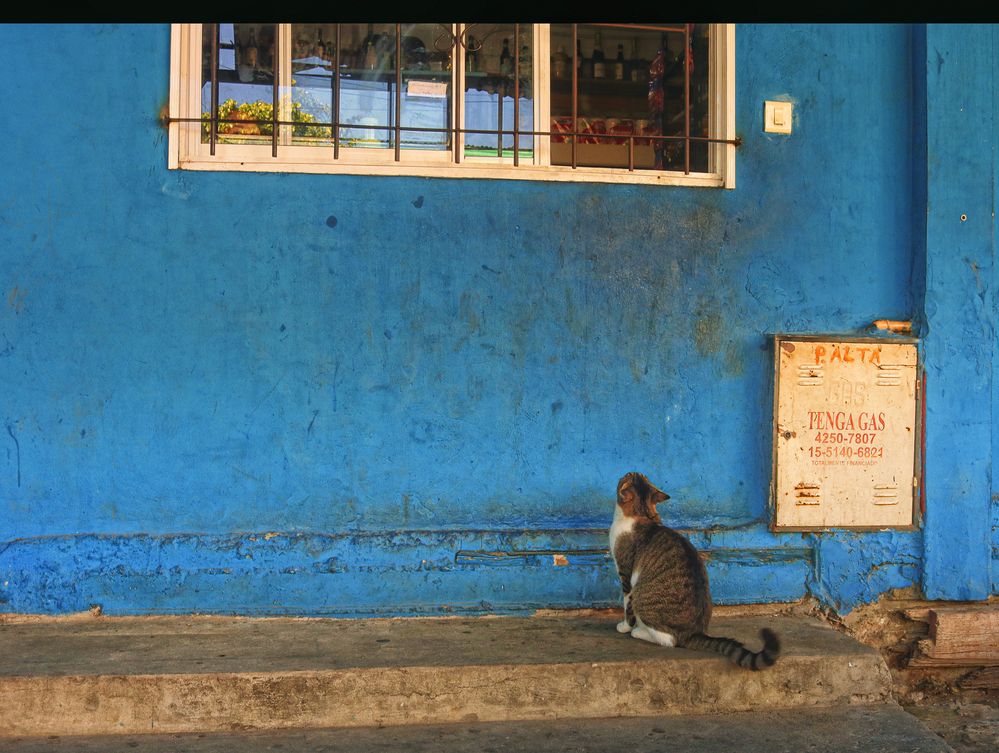 Photograph by Viviana García