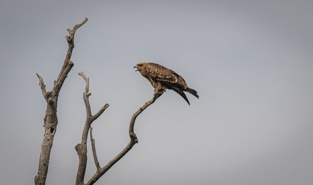 Photograph by Вадим Басов