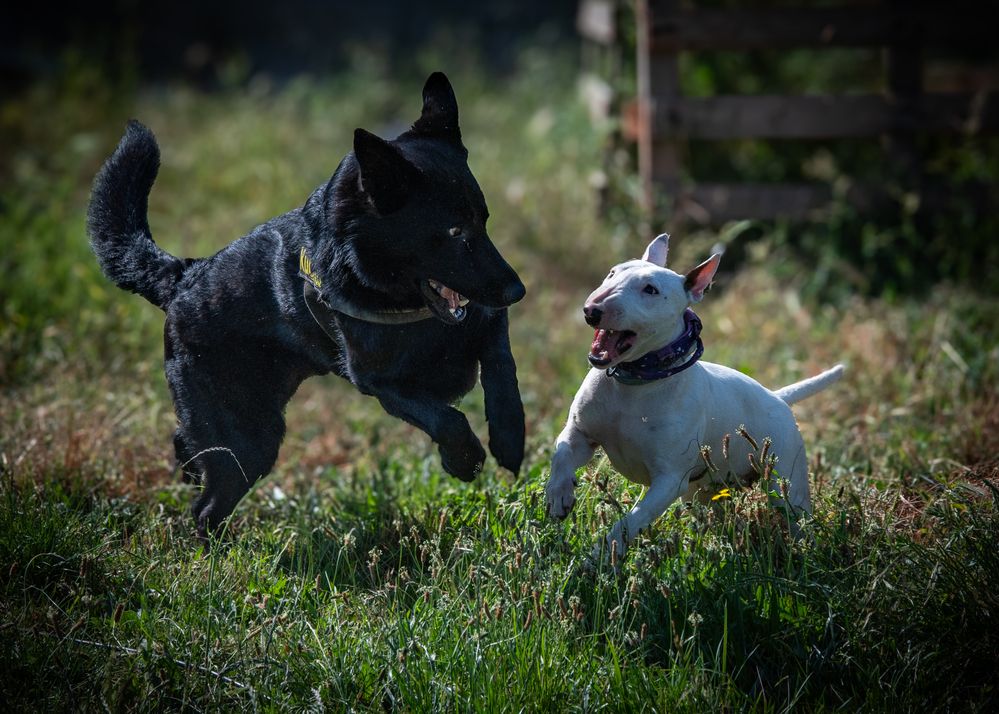 Фотография автора Izan Zufiaurre Sánchez