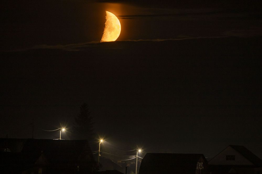 Photograph by Елена Перминова