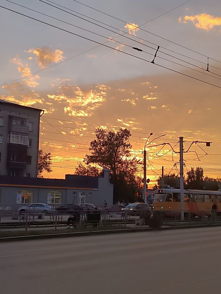 Фотография автора Елена Колышева
